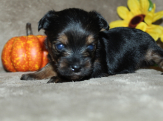 2025-10-26-18.32.53-2