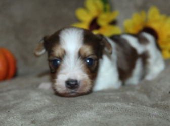 2025-10-26-18.36.08-2