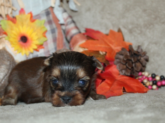 2025-10-26-18.38.43-1