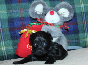 2025-11-18-12.59.31-1