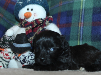 2025-11-18-13.02.35-2