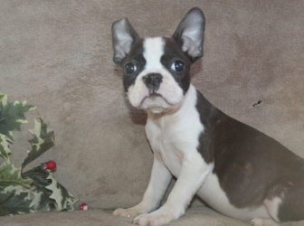 2025-12-23-15.33.31-1