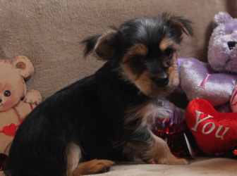 2026-01-09-12.16.32-2