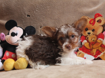 2026-01-09-12.23.10-2