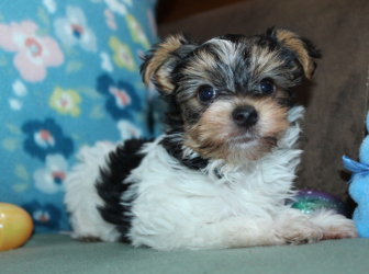 2026-03-04-10.09.33-1